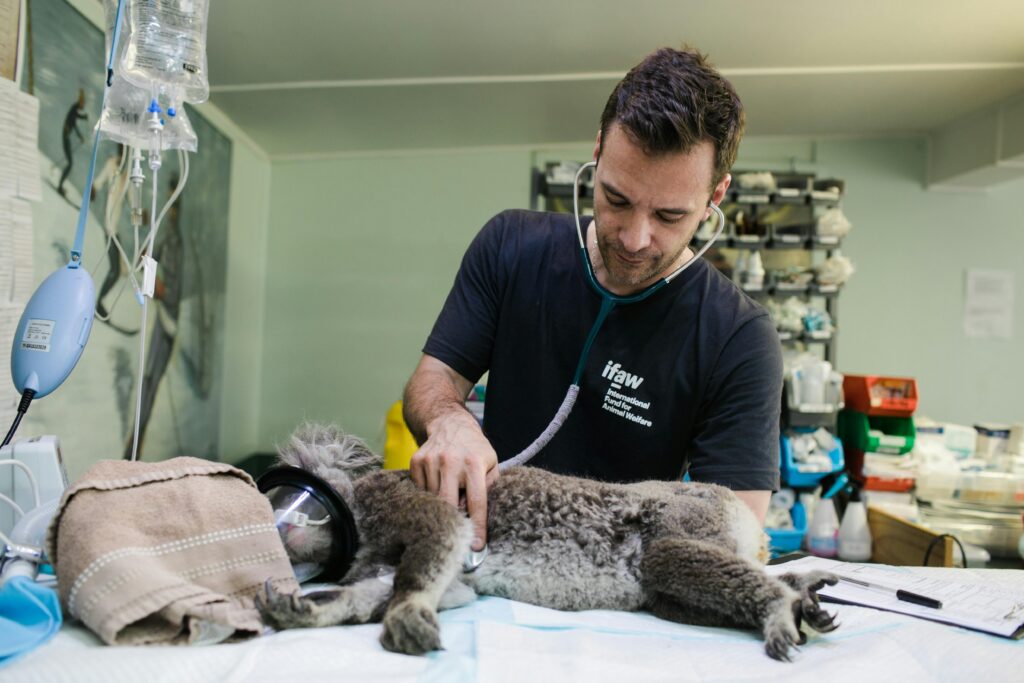 Qual o salario de um veterinario