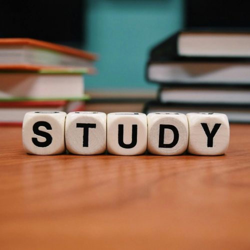 As Melhores Faculdades, Cursos Online e Bolsas de Estudo Para Ingressar nas Profissões Mais Remuneradas